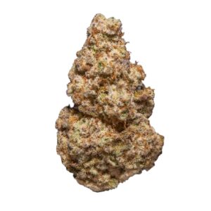 Alien Cookies Cannabis Strain