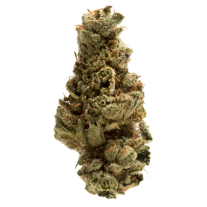 Bio-Jesus Cannabis Strain