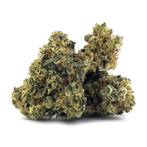 Buy BC Kush Marijuana Strain