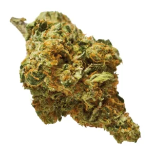 Buy Sheila Marijuana Strain