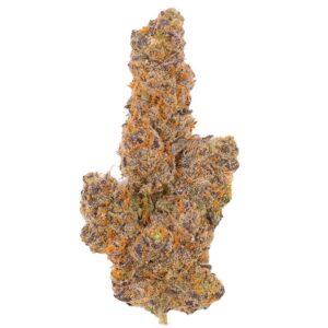 Cheetah Piss Weed Strain