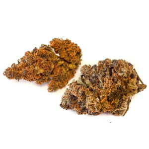 Sativa Cannabis Strains Europe