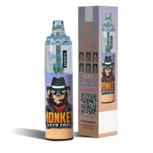 RandM Tornado Disposable Vape – 7000 Puffs