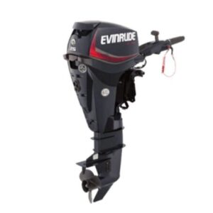 Evinrude E25DGTL E TEC Outboard Motor