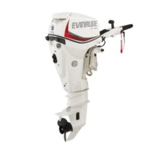 Evinrude E30GTEL E TEC Outboard Motor