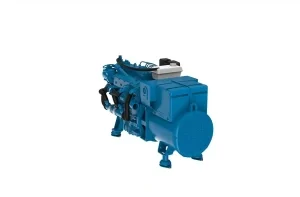 Nanni Generator Type QLS22T